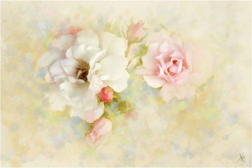 794002 (a): :3500x2333